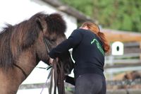 Reiterferien24 Vorbereitungen