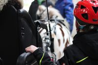 Reiterferien24 auch die Kutsche kommt zum Einsatz